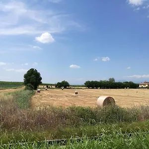 La Casetta, Nel Verde A Appartamento